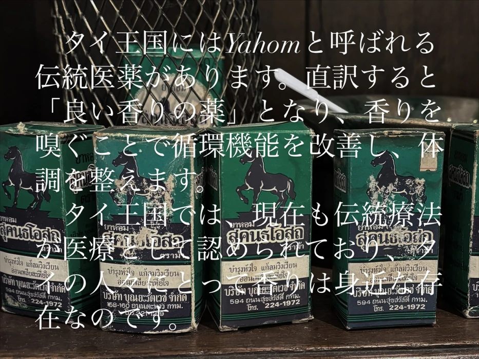 画像381