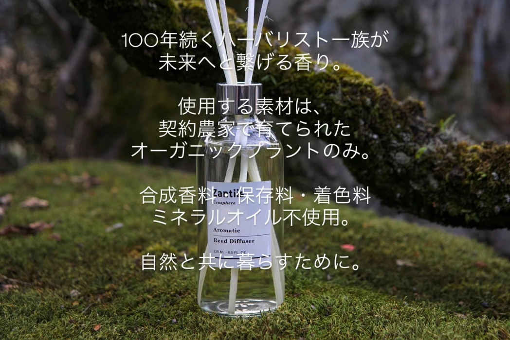 画像423
