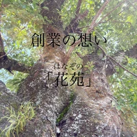 画像457