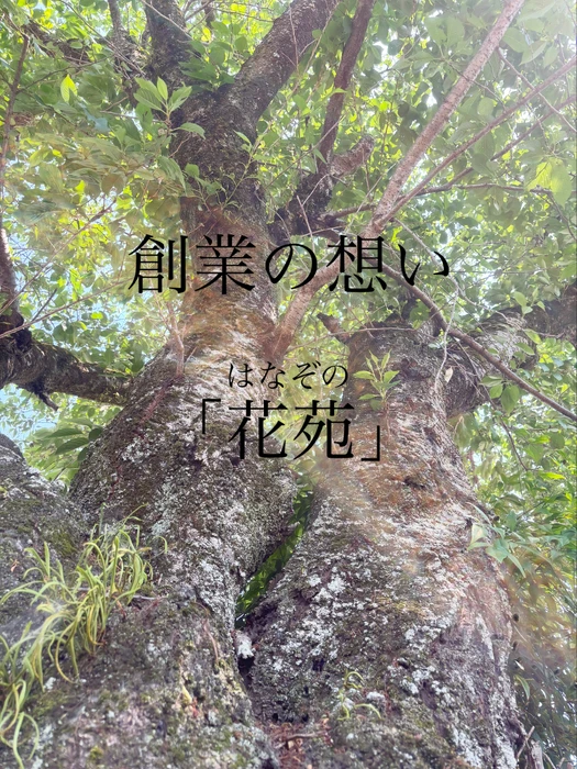 画像457