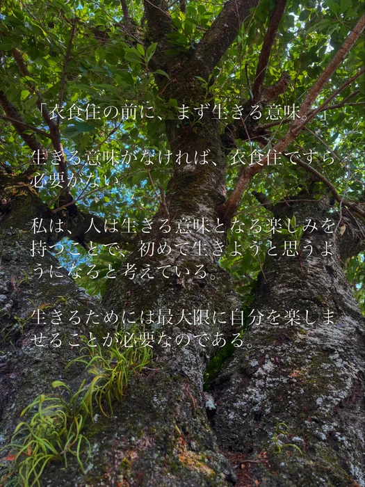 画像458