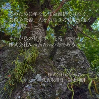 画像459